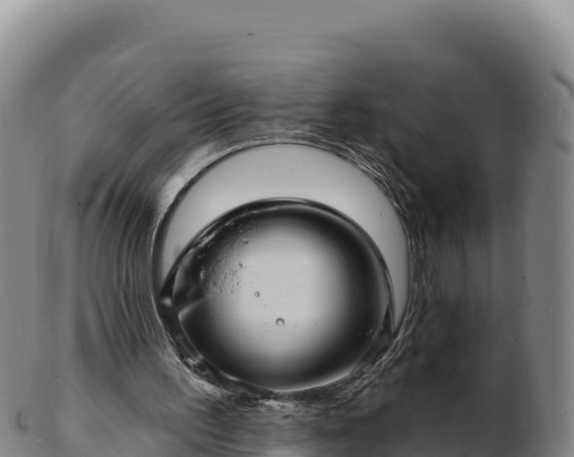 X0000103240195200809041054