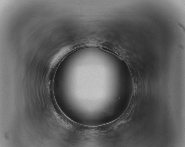 X0000103240197200809041054