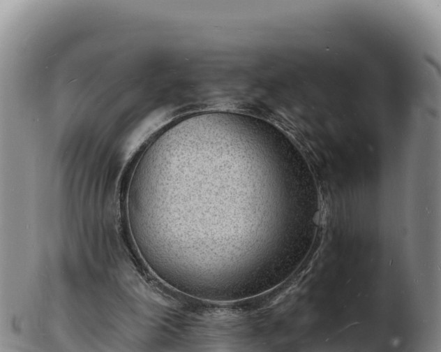 X0000103240198200809041054