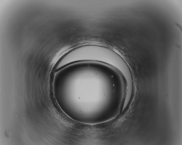 X0000103240199200809041054