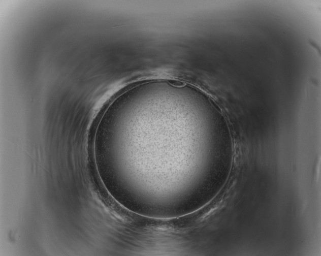 X0000103240200200809041054