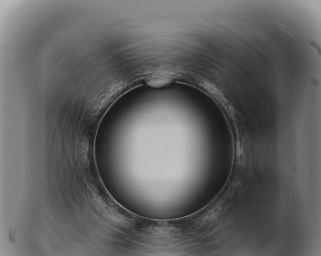 X0000103240201200809041054