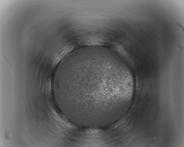 X0000103240202200809041054