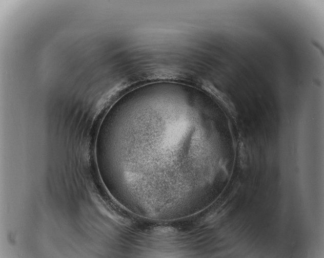 X0000103240203200809041054