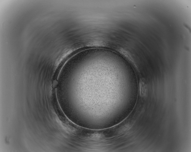 X0000103240204200809041054