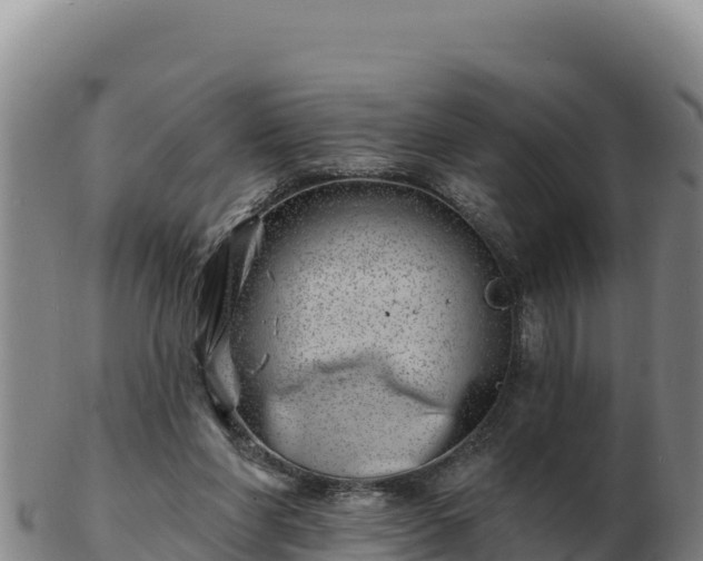 X0000103240206200809041054