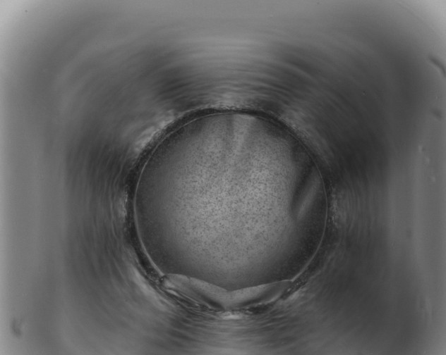 X0000103240208200809041054