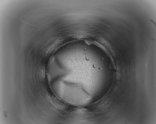 X0000103240210200809041054