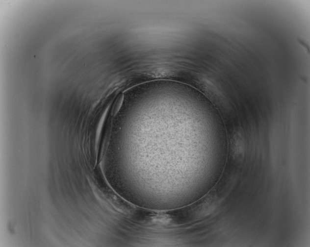 X0000103240214200809041054