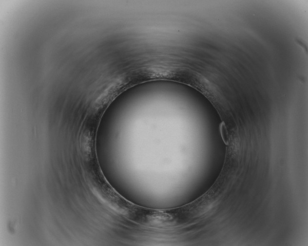 X0000103240215200809041054