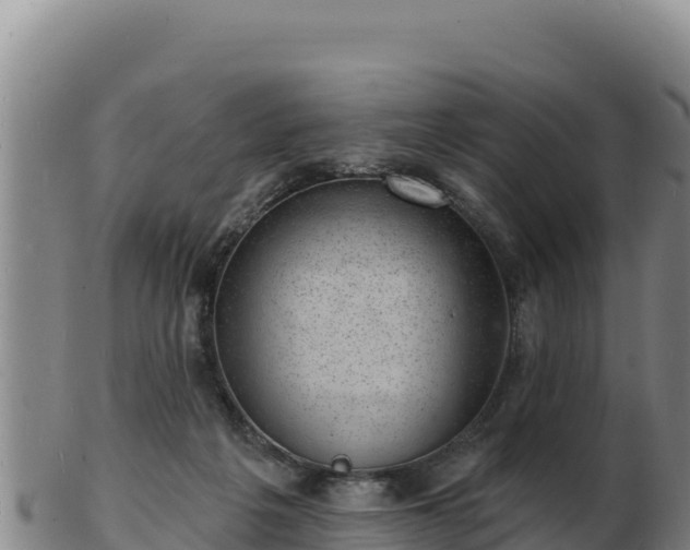 X0000103240217200809041054