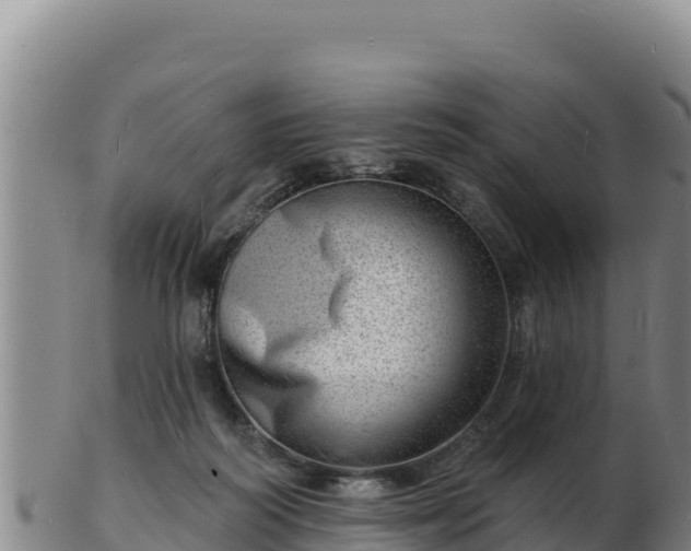 X0000103240218200809041054