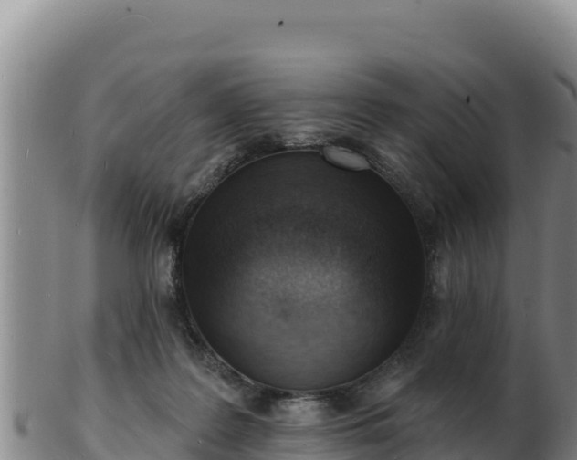 X0000103240219200809041054