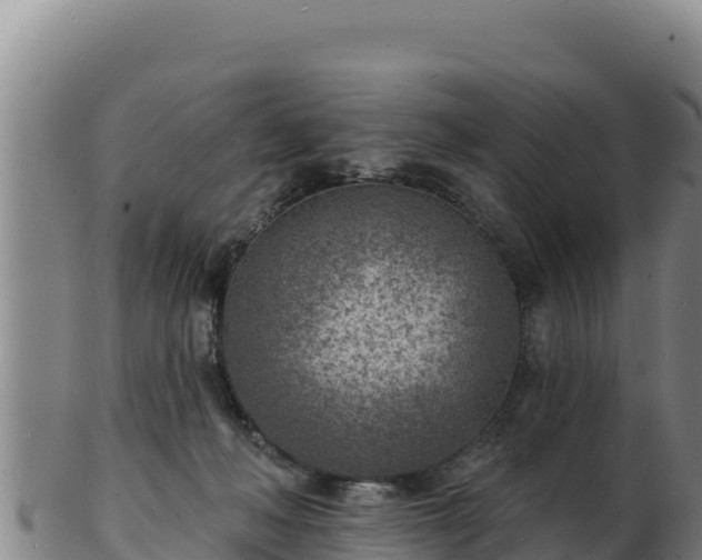 X0000103240222200809041054