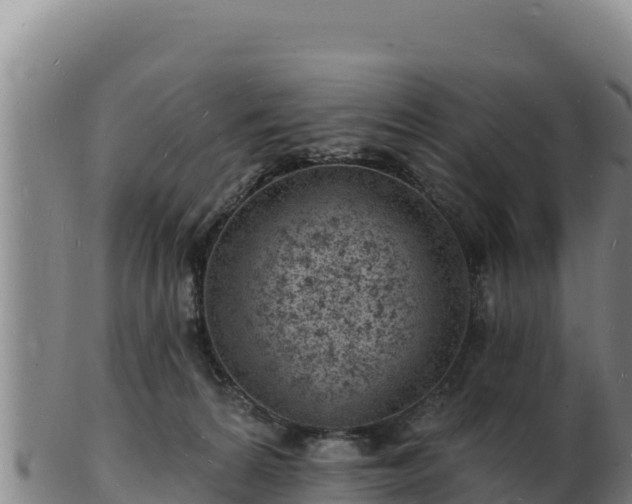 X0000103240224200809041054