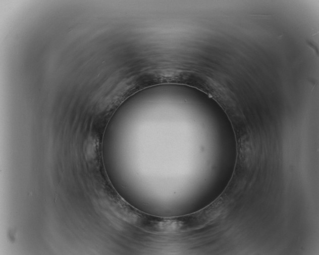 X0000103240225200809041054