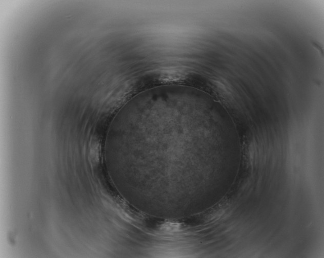 X0000103240227200809041054