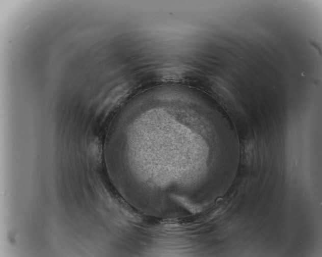 X0000103240228200809041054