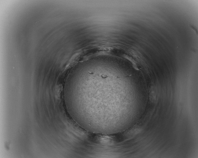 X0000103240229200809041054