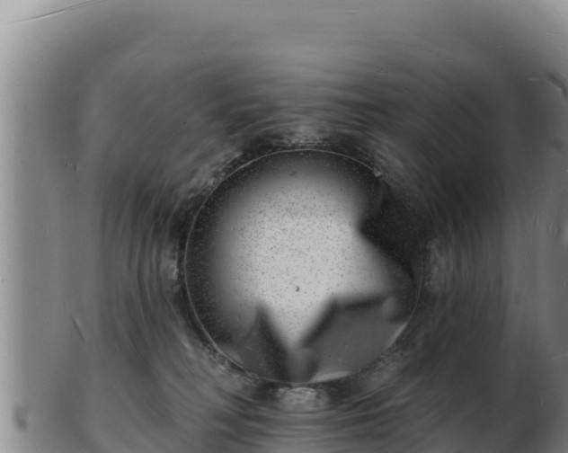 X0000103240230200809041054