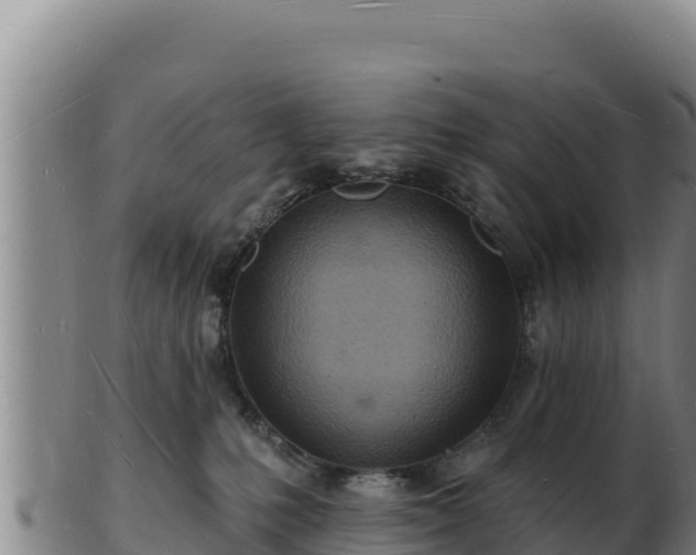 X0000103240231200809041054