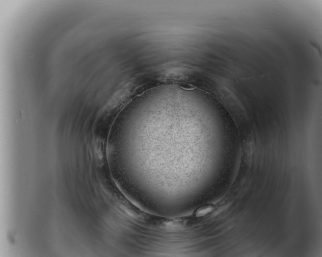 X0000103240232200809041054