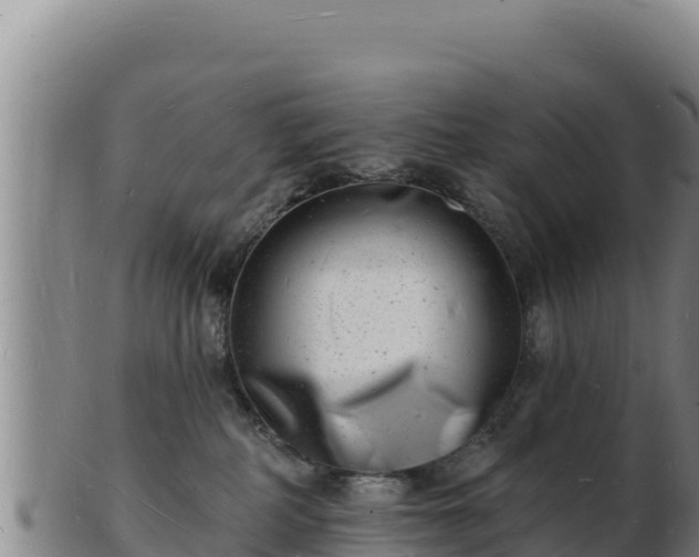 X0000103240234200809041054