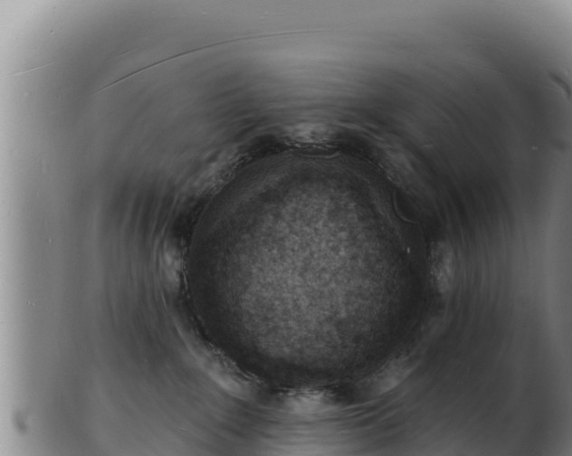 X0000103240235200809041054