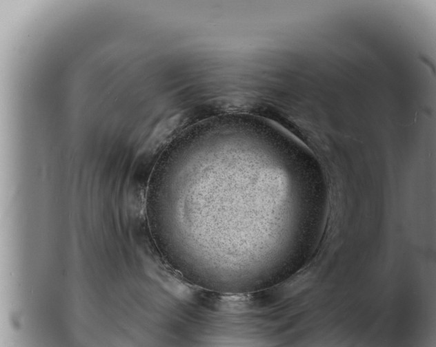 X0000103240240200809041054