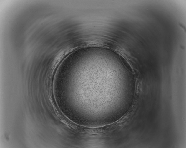 X0000103240241200809041053