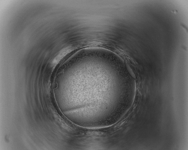 X0000103240242200809041053