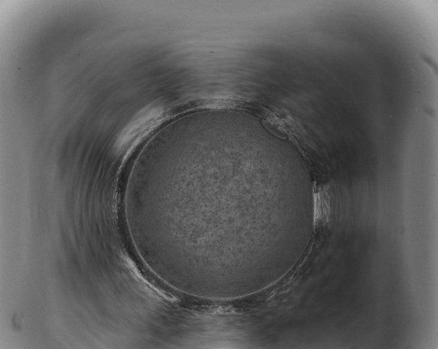 X0000103240243200809041053