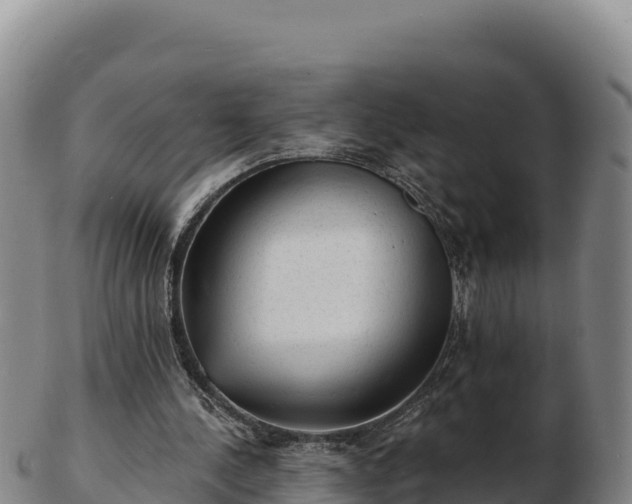 X0000103240244200809041053