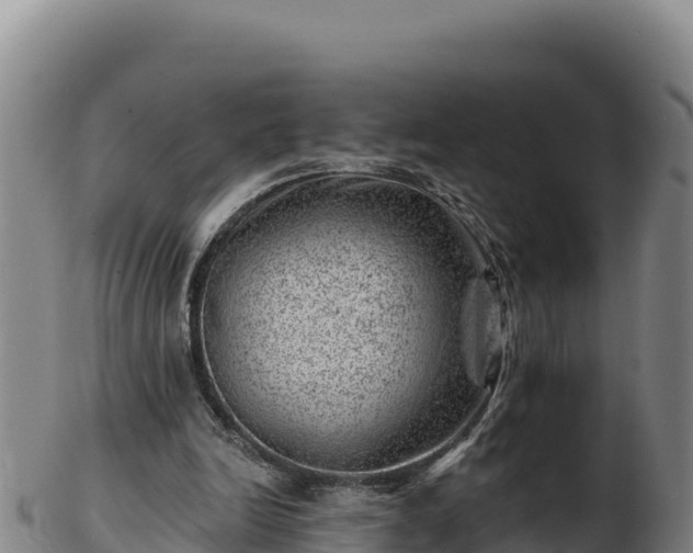 X0000103240246200809041053