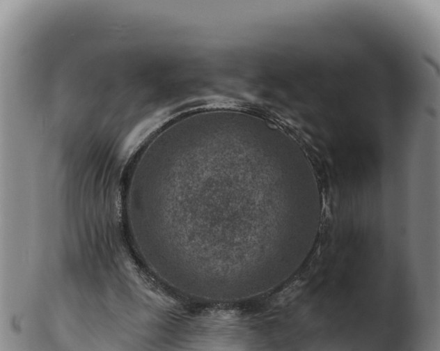 X0000103240247200809041053