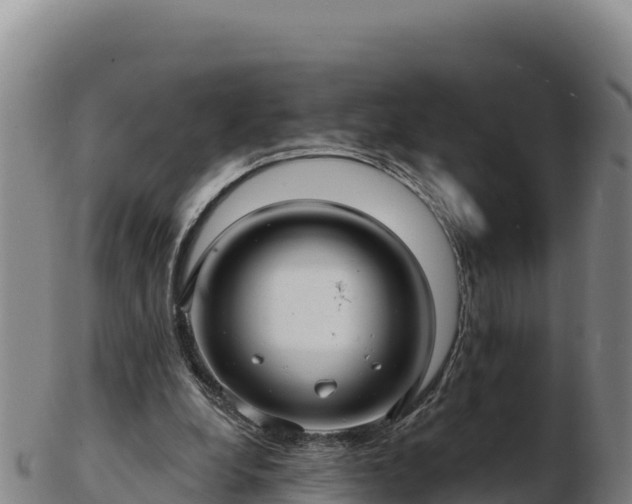 X0000103240248200809041053