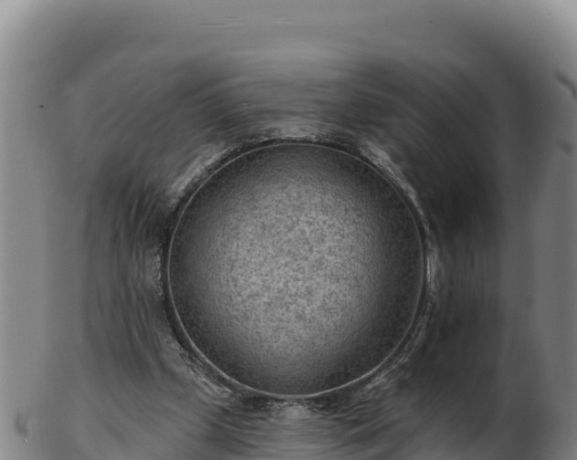 X0000103240249200809041053