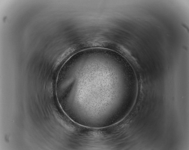 X0000103240250200809041053