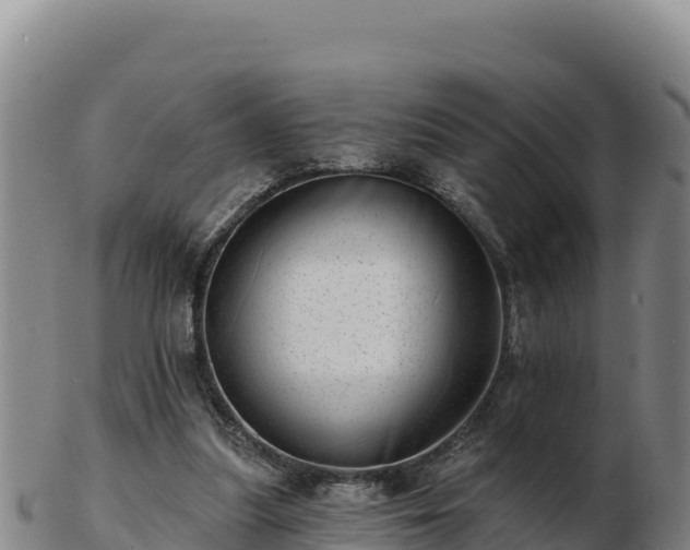 X0000103240251200809041053