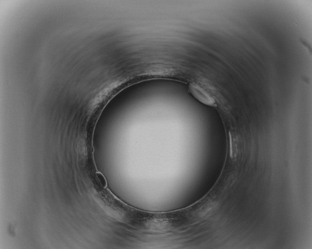 X0000103240252200809041053