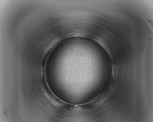 X0000103240253200809041053