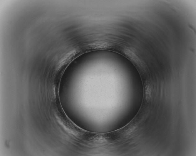 X0000103240254200809041053