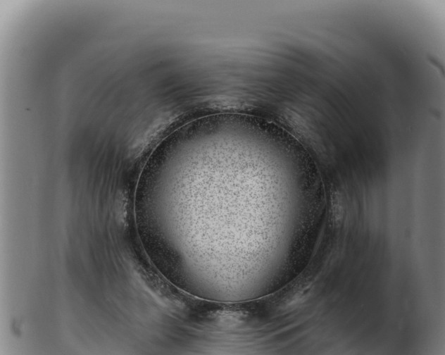 X0000103240255200809041053