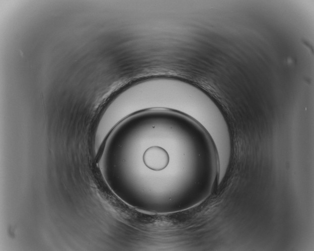 X0000103240256200809041053