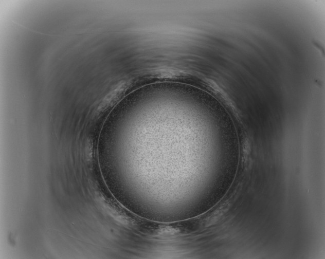 X0000103240257200809041053