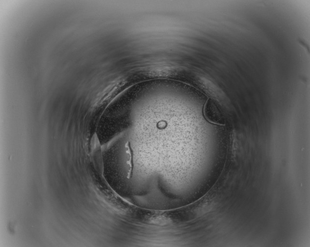 X0000103240258200809041053