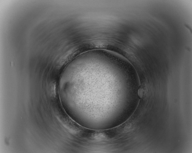 X0000103240262200809041053