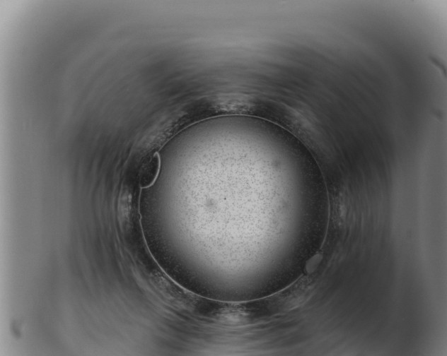 X0000103240263200809041053