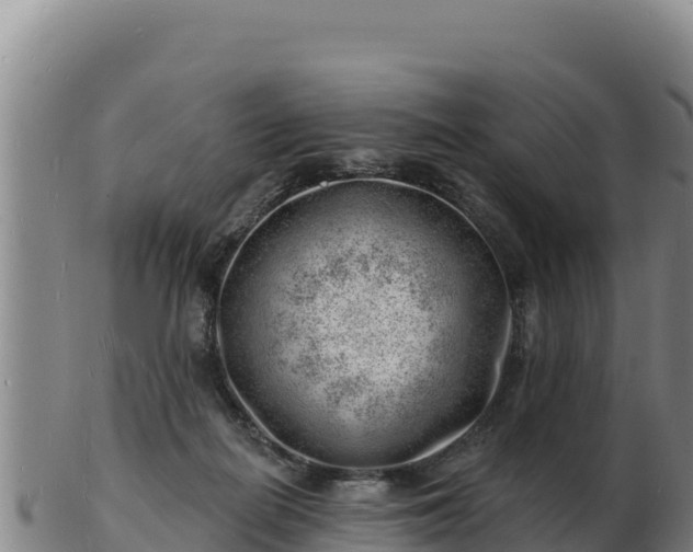 X0000103240266200809041053