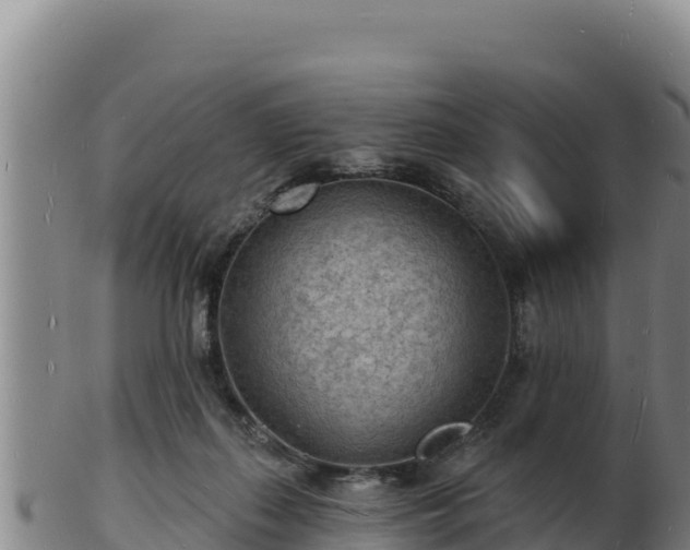 X0000103240267200809041053